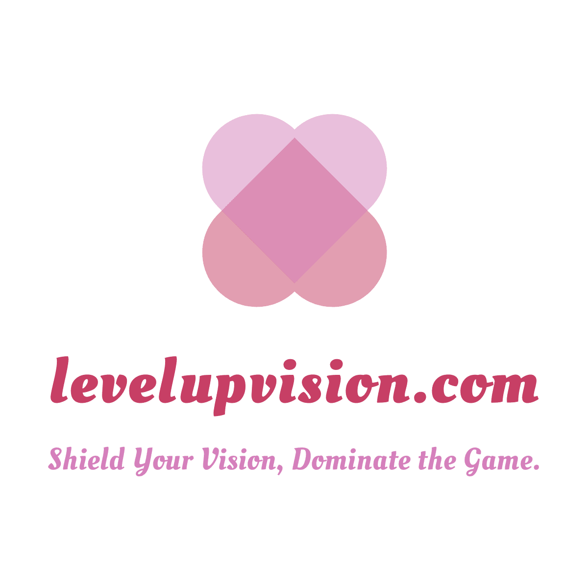 levelupvision.com